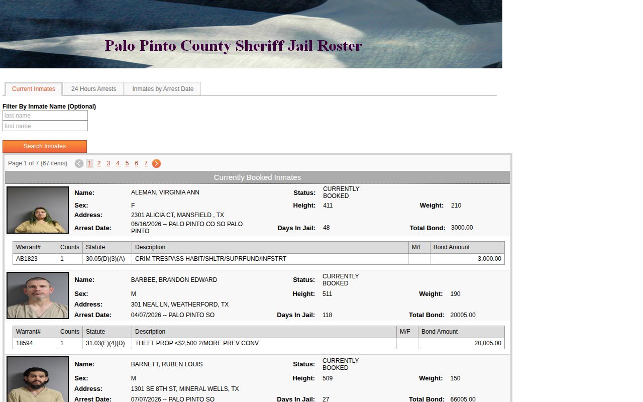 Palo Pinto County jail arrest tabs used before requesting a release record