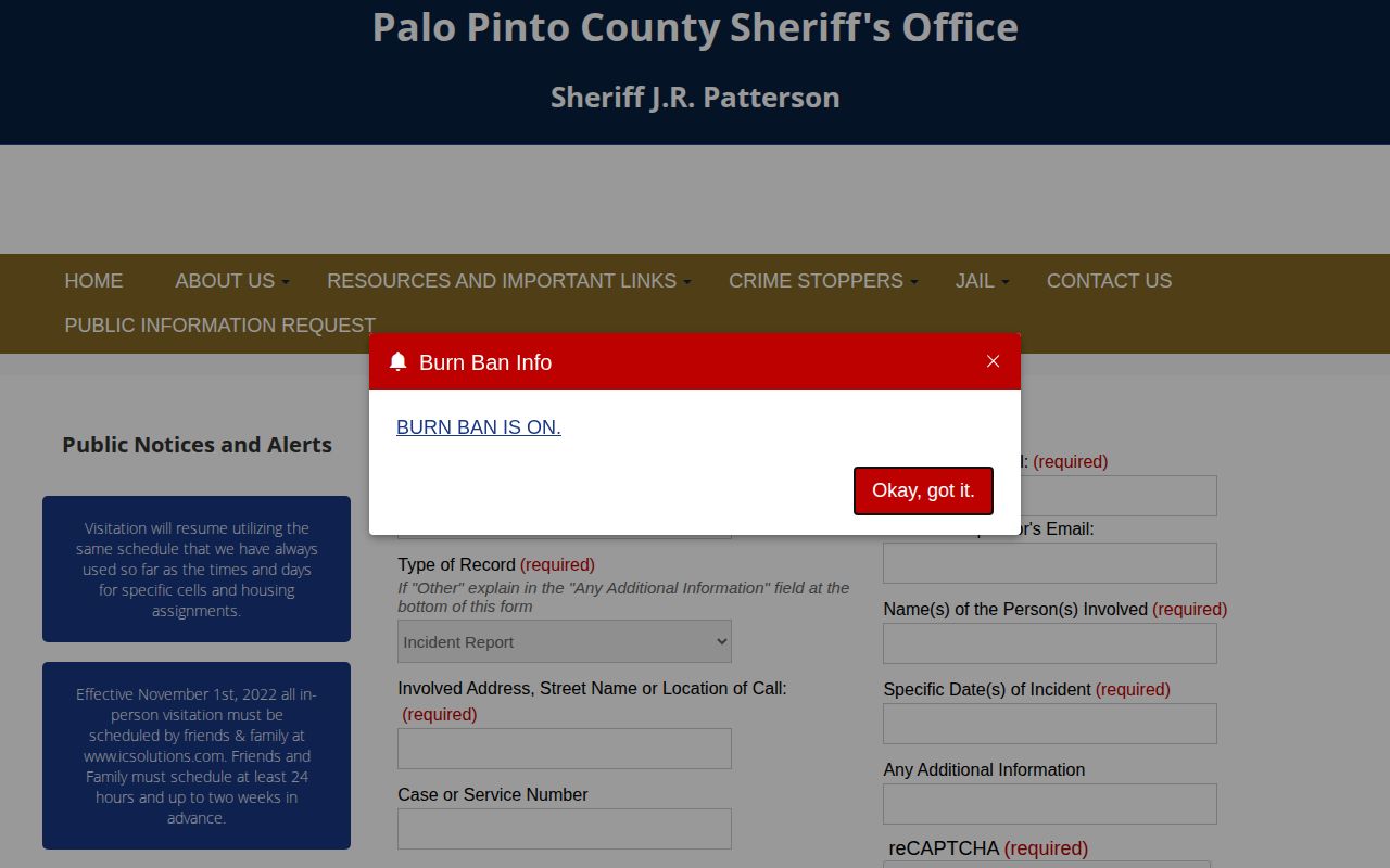 Palo Pinto County released inmate record and mugshot request choices